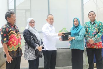 Kepulauan Seribu bagikan bibit cabai ke warga untuk kendalikan inflasi