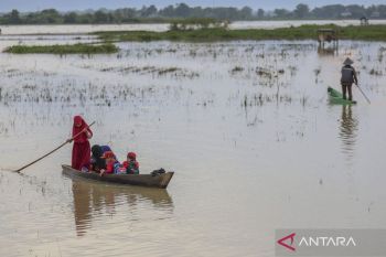 Stranded by floods, students in Kajejeng paddle through rice fields to reach school