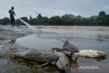 DLH Banten targetkan pembersihan pestisida di Cisadane dua pekan