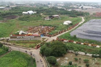 DLH Tangerang tanam ribuan pohon upaya penghijauan sekitar TPA