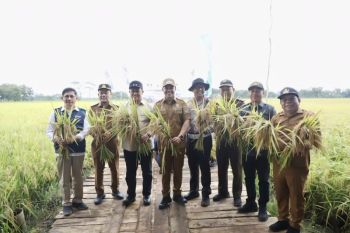 Wagub Kalteng: Kemajuan pertanian kunci utama wujudkan swasembada pangan