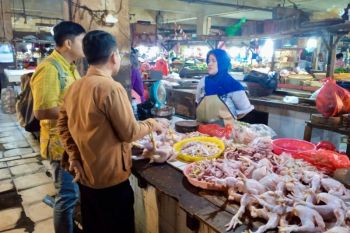 Harga ayam stabil jelang Ramadhan, pemerintah pastikan pasokan aman hingga Idulfitri