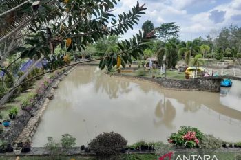 Taman wisata Rivera Park Tebo Jambi terancam rusak akibat PETI