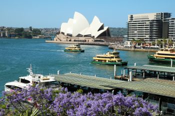Queensland Utara hadapi risiko wabah yang ditularkan nyamuk
