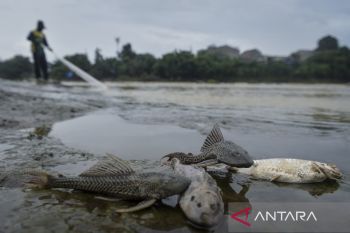 Sungai Cisadane tercemar pestisida