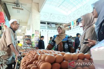 Wabup Kotim akui harga sebagian bahan pangan mulai naik