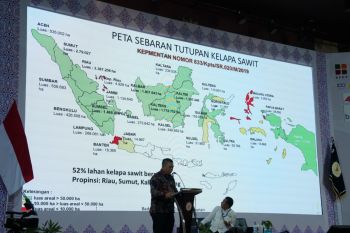 BPDP tawarkan solusi hilirisasi dan peningkatan produktivitas perkebunan rakyat