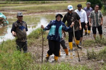 Wali Kota Makassar: Pembangunan jembatan di Romang Tanganyya agar siswa tidak naik sampan