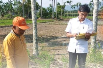 Wakil Yuridis Kantor Pertanahan Pasaman laksanakan pemeriksaan tanah untuk sertifikasi aset Pemerintah Nagari Lubuk Layang
