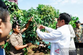 Indonesian govt pushes area-based drive to end extreme poverty