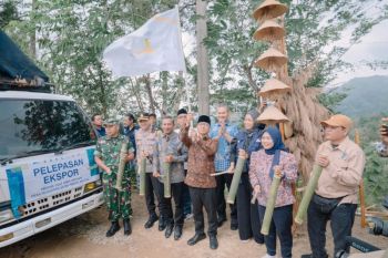 Desa Sejahtera Astra Temon Pacitan mengekspor gula aren hingga Belanda