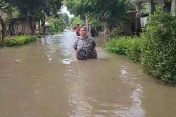 BPBD Jember: Satu korban meninggal tersengat listrik saat banjir