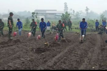 TNI lakukan tanam jagung di Puncu Kabupaten Kediri dukung ketahanan pangan