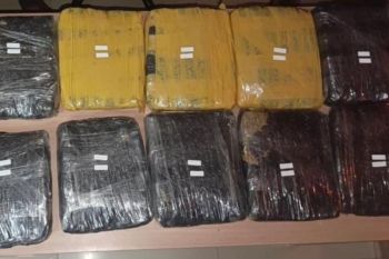 Polisi gagalkan peredaran ganja 15,5 kilogram di area Stasiun Tanah Abang Jakpus
