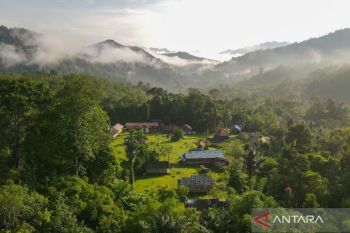 Bupati HST rencanakan pembangunan jalan Batu Perahu-Juhu sepanjang 39 kilometer