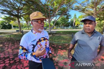 Kasus Virus Nipah dipastikan belum ada di Papua Barat