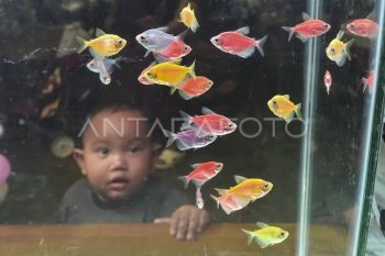 Wahana edukasi satwa di Jambi