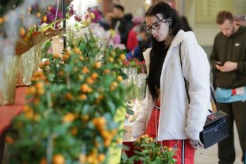 Normalisasi dengan Iran bergantung pada perubahan rezim