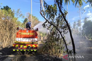 BPBD: Pos terpadu karhutla di Avolua Parigi Moutong telah selesai
