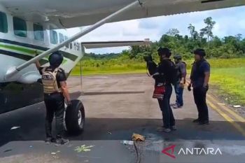 Task force: 20 KKB members behind Smart Air shooting in South Papua