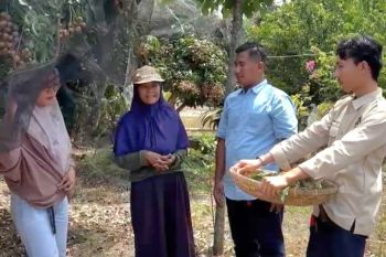 Dapur MBG Kagungan Ratu berdayakan kelompok wanita tani sesuai arahan Presiden