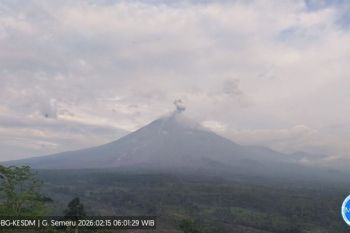 Aktivitas vulkanik Gunung Semeru masih tinggi