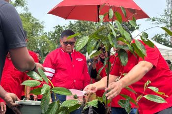 PDIP: Imlek momentum perkuat spirit gotong royong kebangsaan