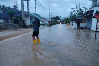 Jalan nasional dari Agam menuju Pasaman Barat terendam banjir