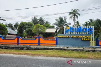 Bandara Batam buka rute baru Batam-Jambi PP perkuat konektivitas