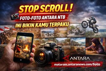 Kakao, dari biji ke martabat