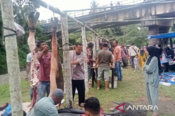 Harga daging meugang tembus Rp200 ribu per kilogram di Abdya
