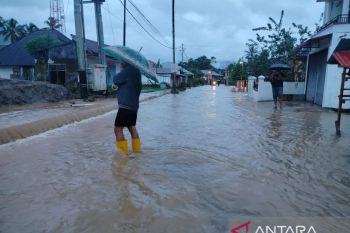 KKP: Monitoring Residu Perikanan Budidaya Setara Eropa