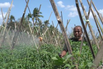 Zentide resmi peroleh izin edar untuk Kaylix, solusi pembenah tanah berbasis rumput laut