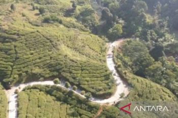 Bupati Bogor bangun 516 km jalan dalam setahun menjabat