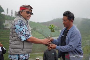 Kabupaten Temanggung dapat bantuan bibit kopi arabika 500 ribu batang