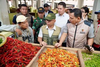 Bapanas sebut harga cabai di pasar induk Banten mulai turun