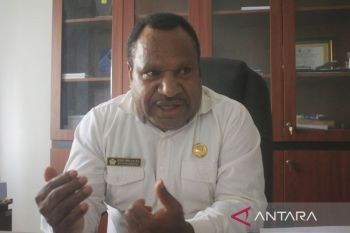 Harga beras medium di Jayawijaya capai Rp23.000 per kilo gram jelang Ramadhan