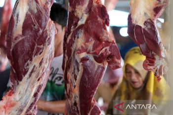 Kondisi bencana tidak pengaruhi permintaan daging meugang ramadhan