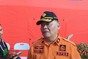 53 pohon tumbang akibat hujan deras dan angin kencang di Kota Semarang