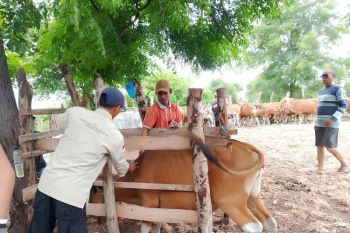 "Brace" Rashford antar Barcelona tekuk Newcastle skor 2-1