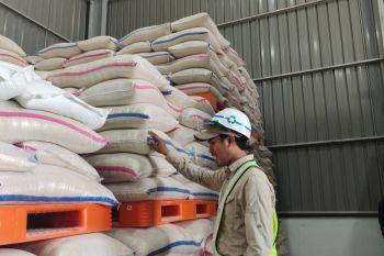 Bulog sebut stok beras Lampung mampu cukupi konsumsi Ramadhan