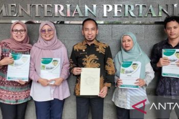 Kementan RI tetapkan padi ladang asal Bangka sebagai varietas unggul