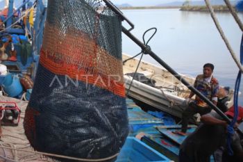 Pemerintah perkuat perlindungan ABK yang akan bekerja di luar negeri