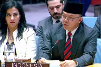 Indonesia tegaskan BoP harus selaras dengan DK PBB demi perdamaian Palestina