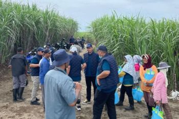 PT SGN MKSO Kebun Dhoho maksimalkan produksi untuk swasembada