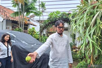 Populer, pameran artefak Rasulullah hingga penertiban lapangan padel