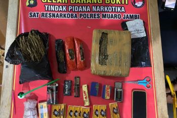 Polisi di Jambi gagalkan peredaran 1,4 Kg ganja di kawasan transmigrasi Sungai Bahar