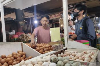 Harga bahan pokok naik, Kemendagri minta pemda gerak cepat