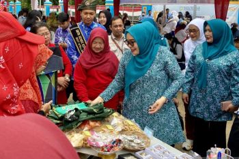 Pinjaman UMK dengan jaminan mobil jadi daya tarik baru