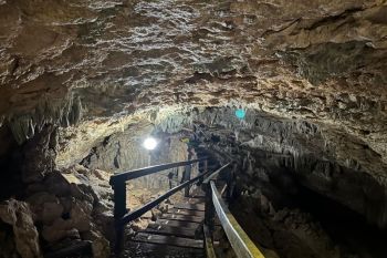 Komitmen anak usaha Astra Agro jaga ekosistem karst